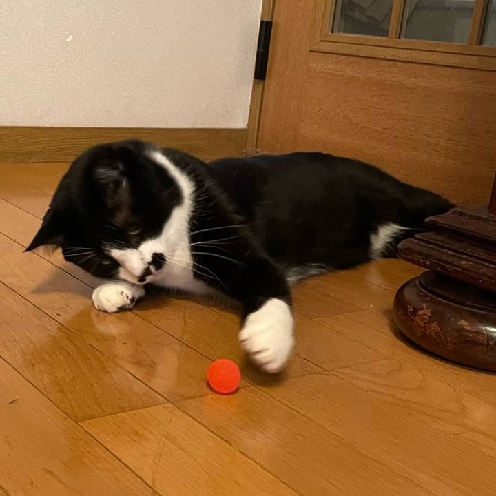 Fc2f6bbf 6187 44ca 99a5 d59b12189f09 1654478714902