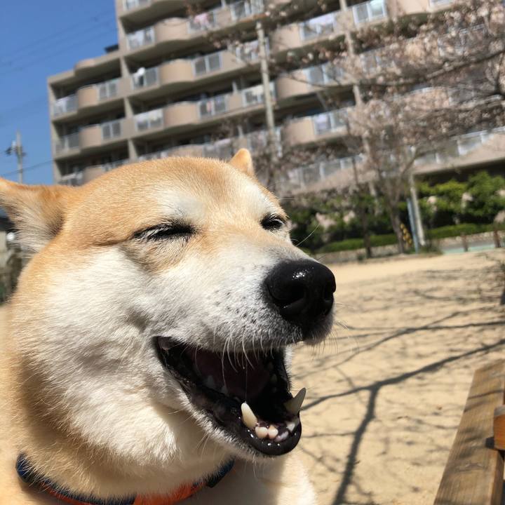 Fc2feb60 b8ed 4dd2 907c e72f42c2a689 1553568733515