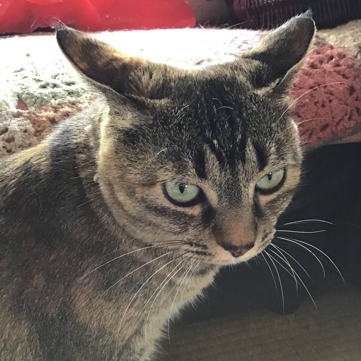 Fc2ff001 bf08 4ba1 93c1 a225827afc06 1683863894355