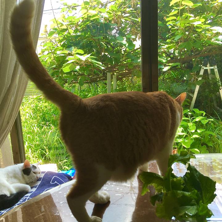 Fc3003d1 699c 4004 a0fe 41e37d94c400 1625195433262