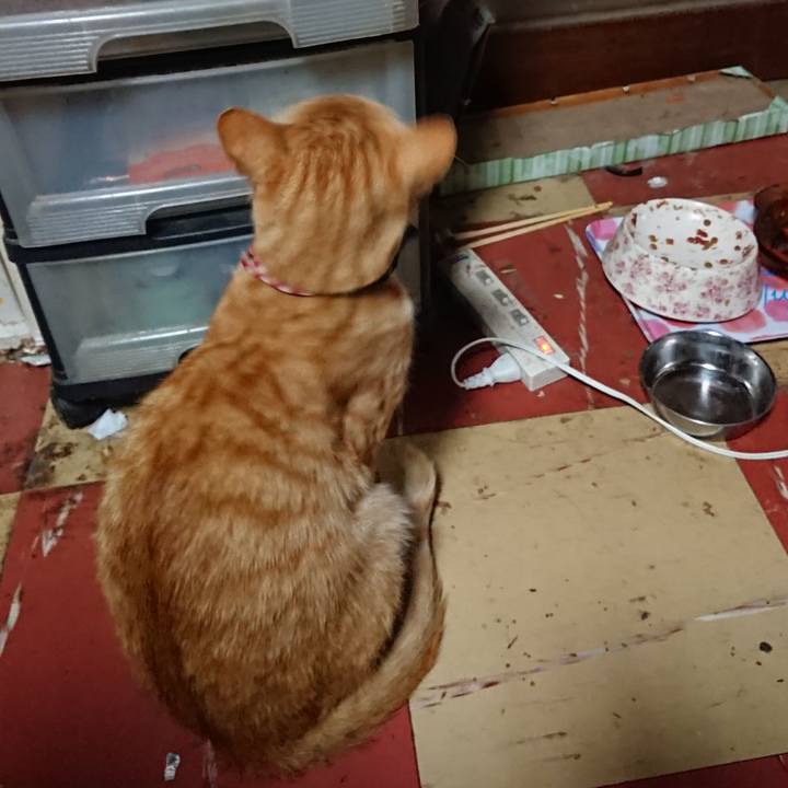 Fc3034c9 0c74 4c55 8d66 bbca09fdadd7 1561060729999