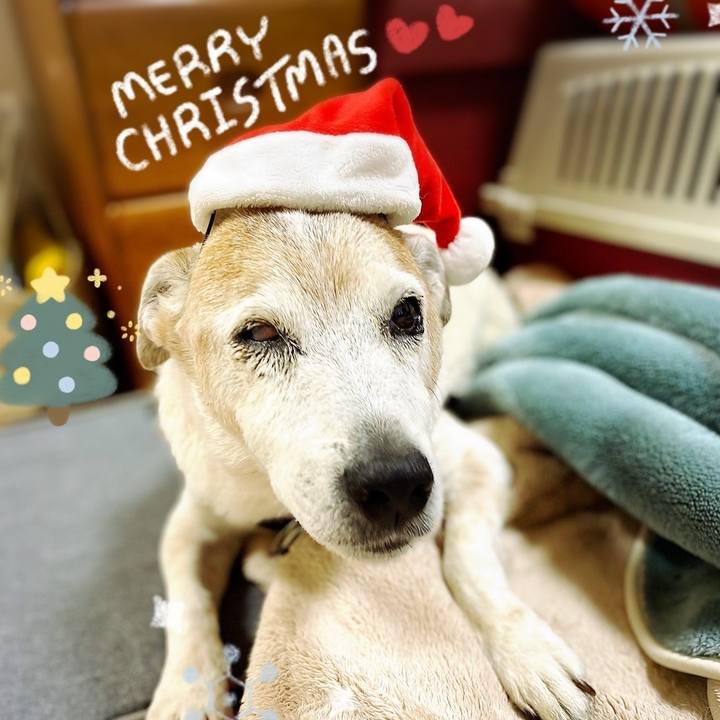 Fc306dd7 33e0 467e a572 bc64f7ae1a23 1703423535628