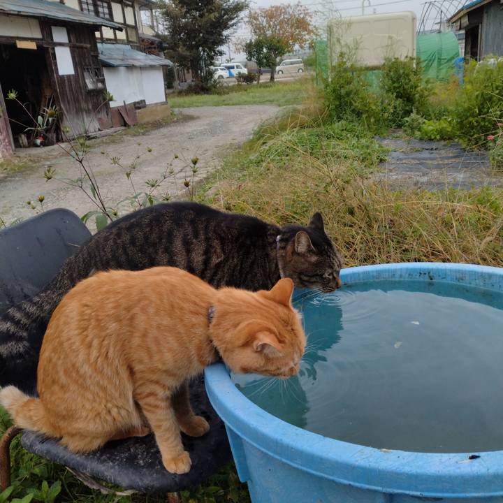 Fc306f8d 5b40 4806 a3ca 653b1cd67193 1665963606427