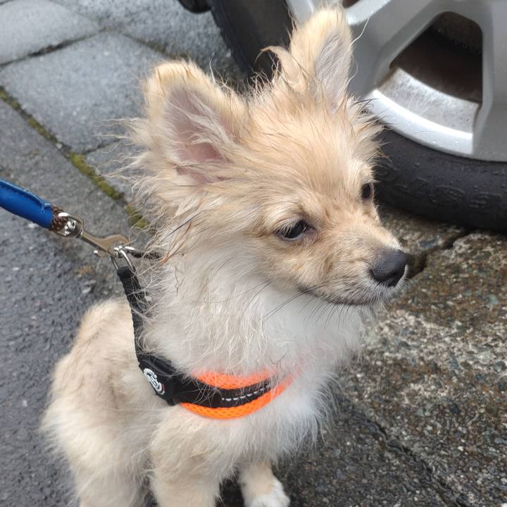 Fc307474 392f 448e 9db1 70a89f367f73 1727050516367