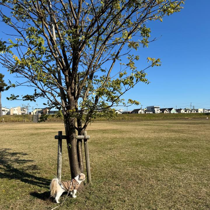 Fc30941a fc74 41dd 8057 5793c31fc03b 1765165923288