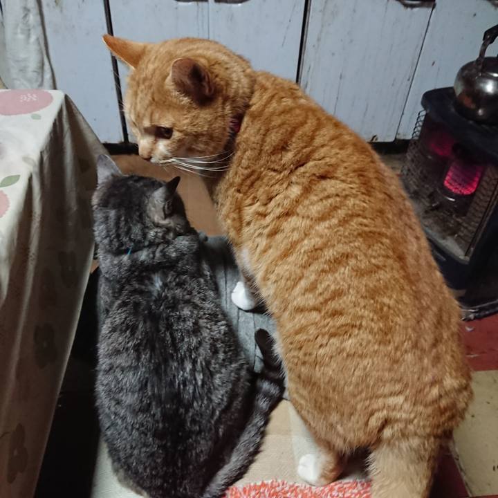 Fc30b488 e07f 4332 bc29 6c93ec57db75 1577846353534