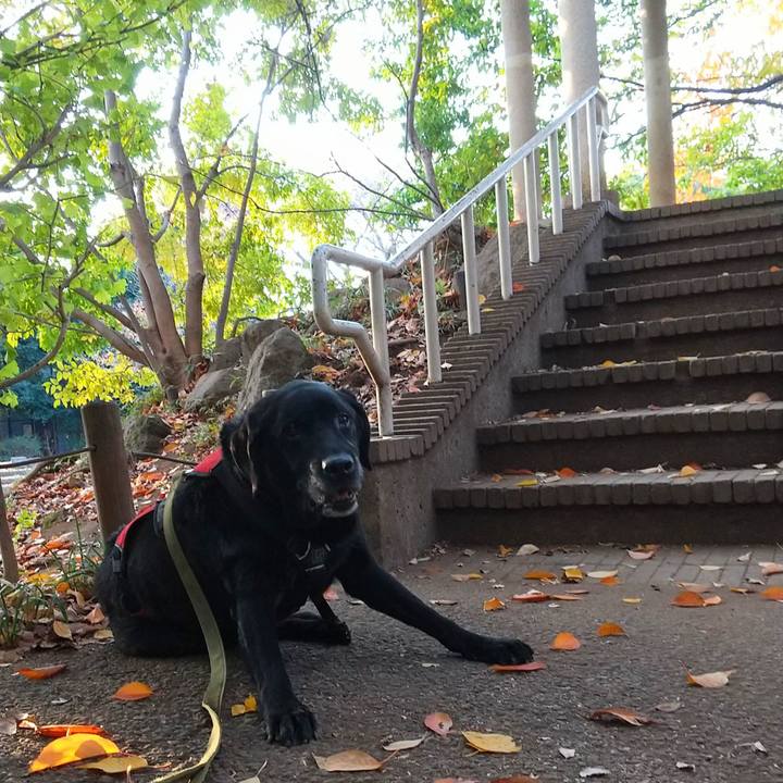 Fc30c0f7 381a 4cc0 b698 96c30347bccc 1700811715692