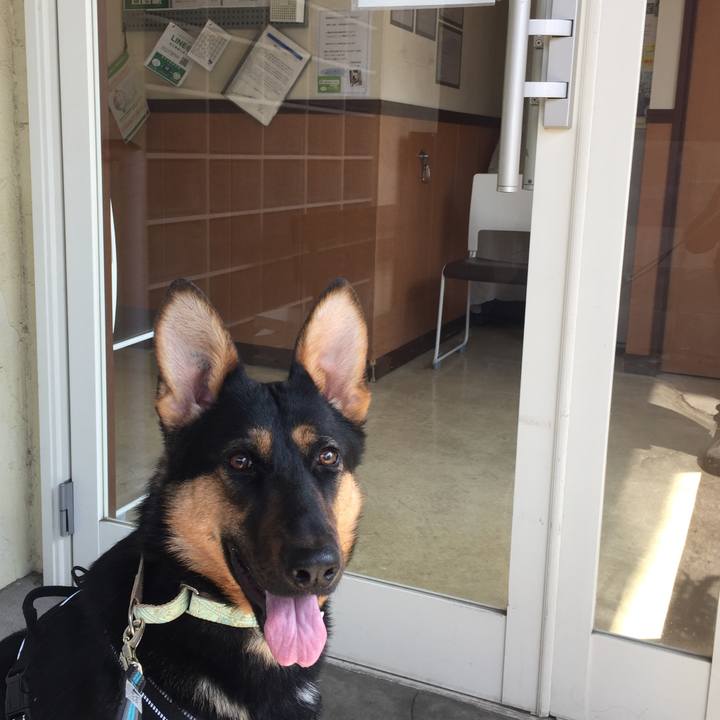 Fc30f79d 7e74 4e1a b689 3a0dc7db845e 1520942427066