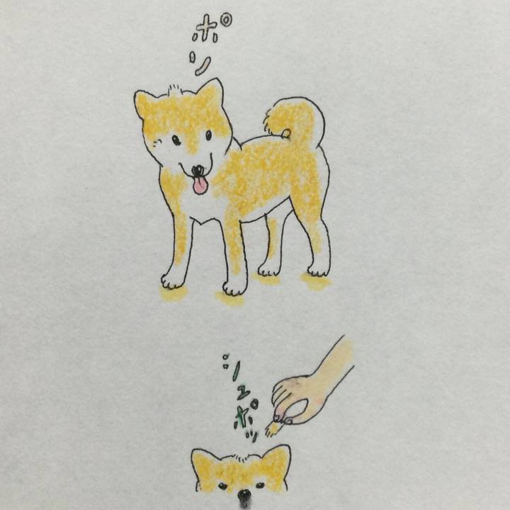 Fc313141 52a4 4501 8337 348349106ea7 1776858143448