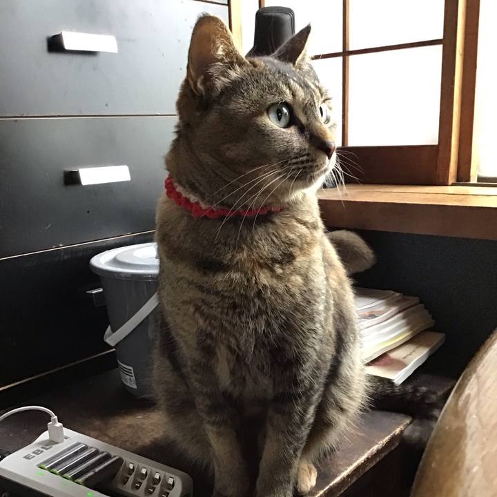 Fc31325e 6519 4de9 86d5 fdd0c6883790 1684117978757