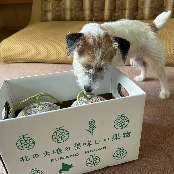 Fc313fc2 420b 41d0 bc3f fad5afba56b6 1693714186479