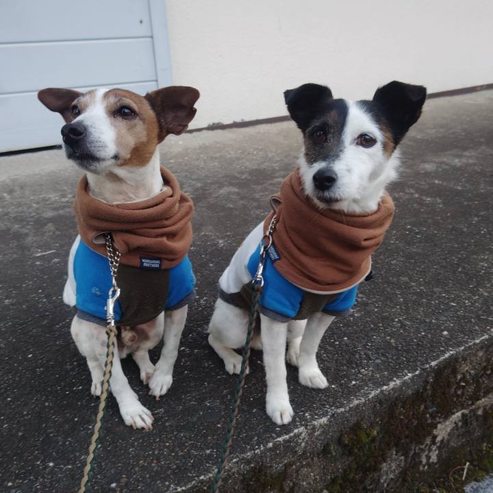 Fc317fc0 eb51 4674 b9f7 ba8eb86790b4 1770849382254