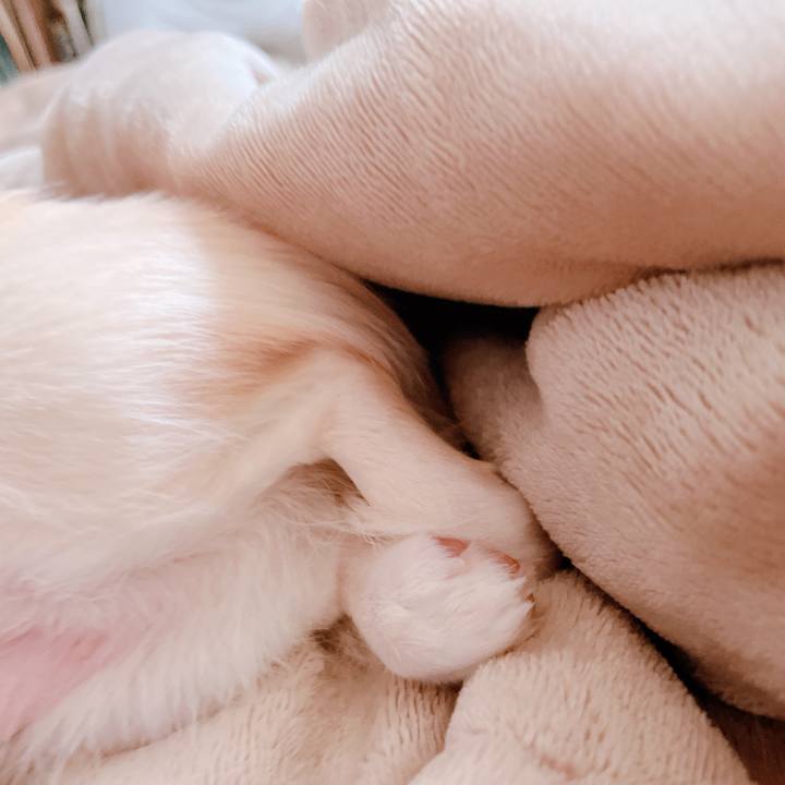 Fc3182ae 9d0e 4a27 b0f5 7ef3e8c1b0a5 1655868699485