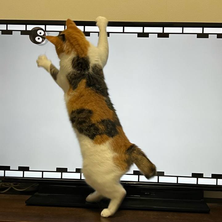 Fc31879f 31f8 4651 bcb8 0a336d025dd6 1761832538285