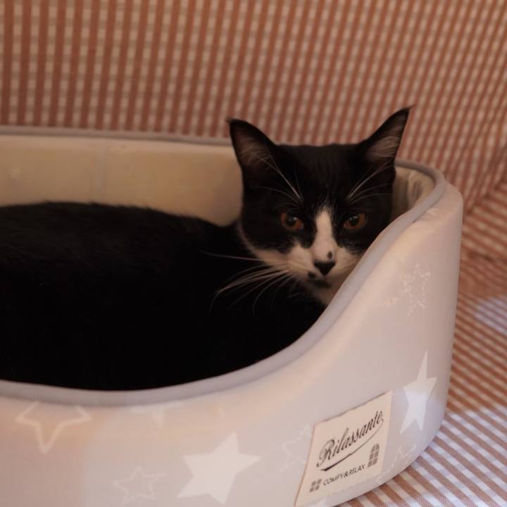 Fc31b24b 5ee7 4caf 8dd7 c073c859806b 1593958049627