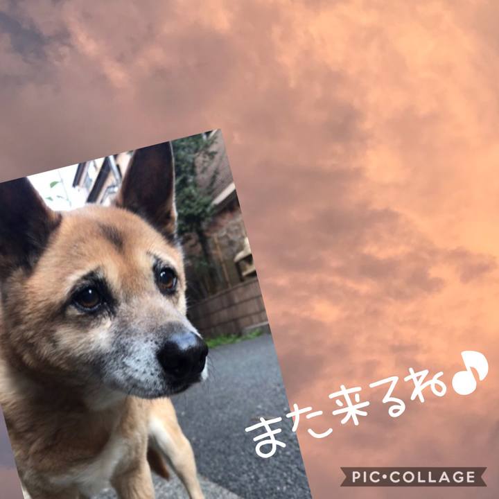 Fc31b7c2 19f7 4372 837d ae7387eae85d 1597573779656