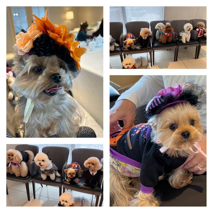 Fc31c83f 223a 4fa1 bc77 da9015b778ec 1698370730787