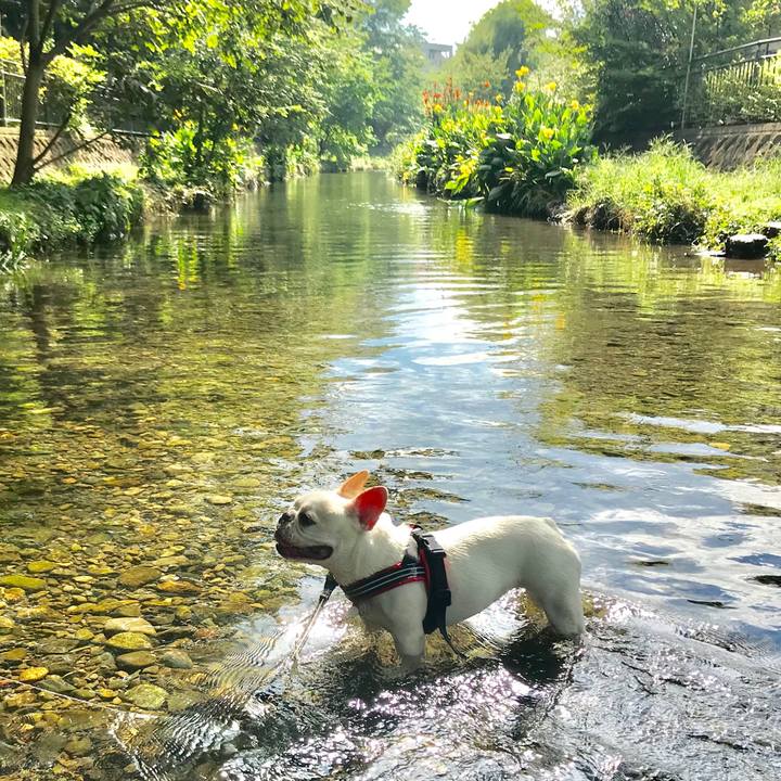 Fc31d5c8 a232 4cf0 a3b5 46186839e185 1536817056290