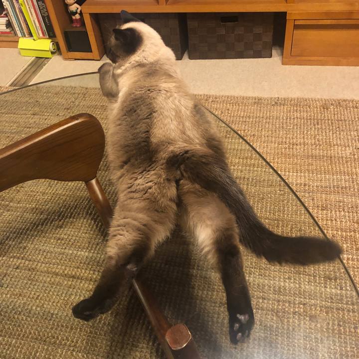 Fc31f8cd 6214 4be4 af6d ac21fa522e09 1627643612209