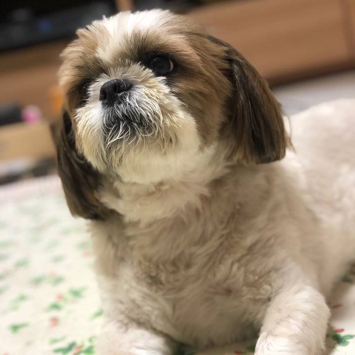 Fc323af3 7952 423a b398 d8bdb8a0b8dd 1535270647545