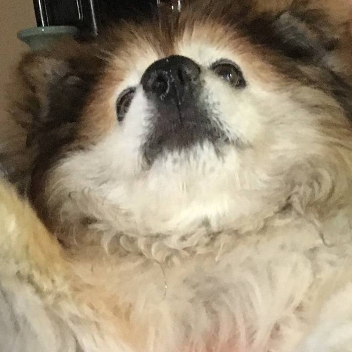 Fc32494e 7e01 41b4 95dc 312cdc9ab04b 1610342763449