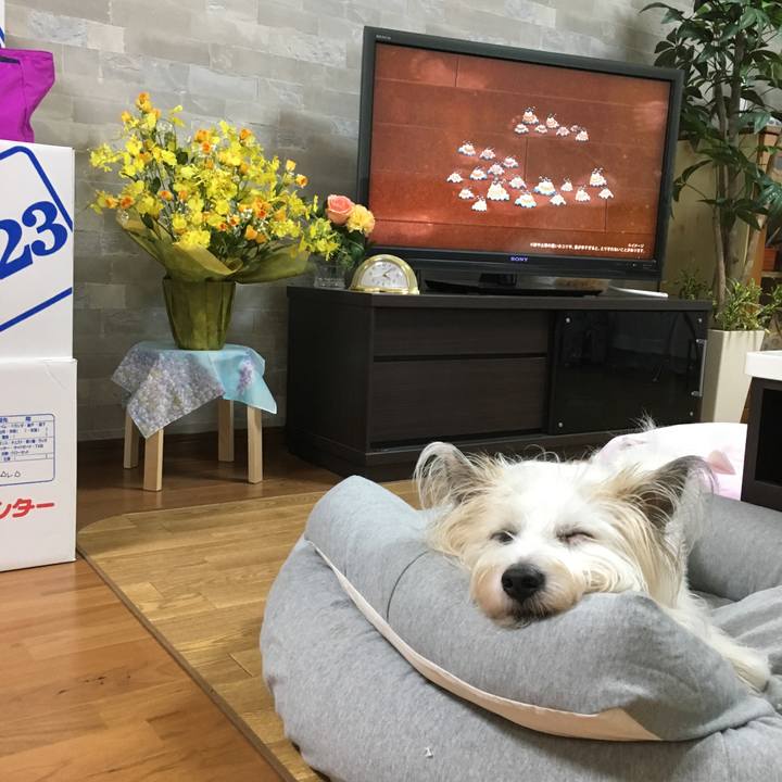 Fc326ba7 f532 4dc9 b181 ac1d47ab1fe3 1528443288574