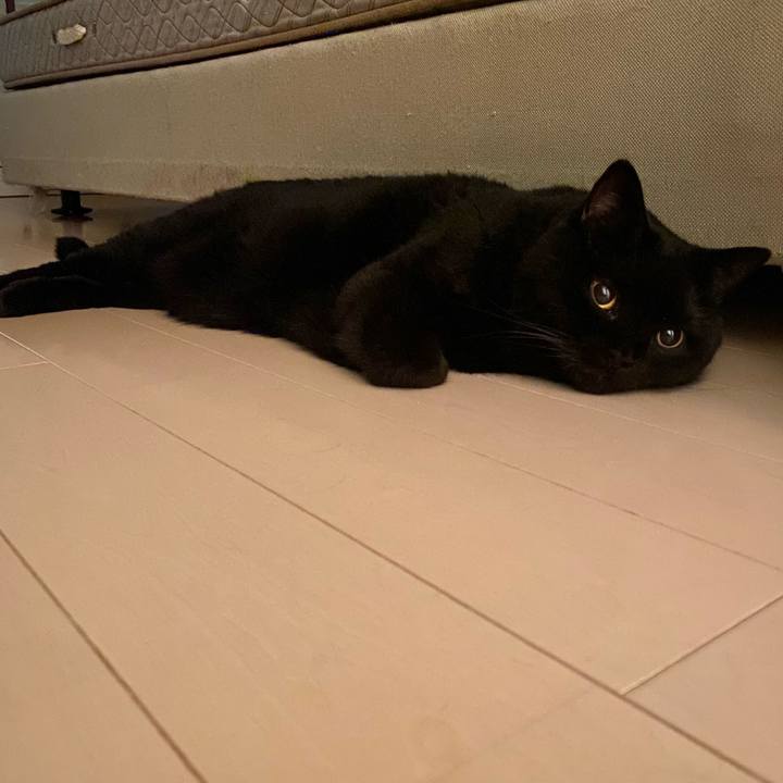 Fc327098 a53b 481f 83a9 2c58666e64d7 1691500181890