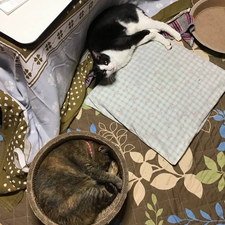 Fc32ada6 b488 42e8 b5d7 49b26271cb82 1732093429639