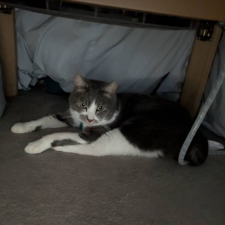 Fc32b0e4 5ab0 4286 89ec 3b96907ea0f2 1770692041333