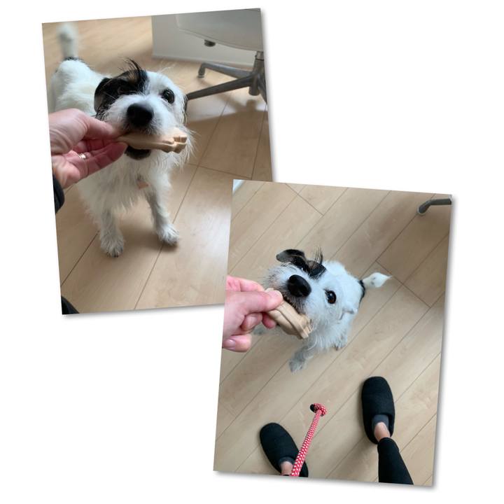 Fc32b7c2 1e3a 4842 8841 a2e76840feb6 1665106006838