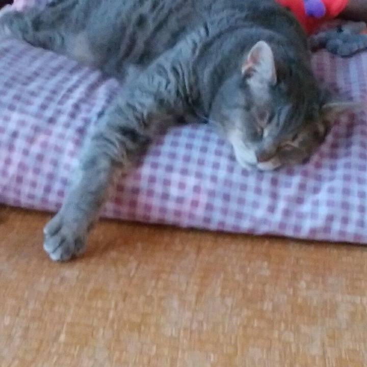 Fc330057 2201 4ce3 9768 2a1f0db24d54 1590389054454