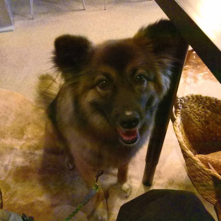 Fc330cb9 783e 479c 8b9c 1aa3b076e5c7 1765710402214