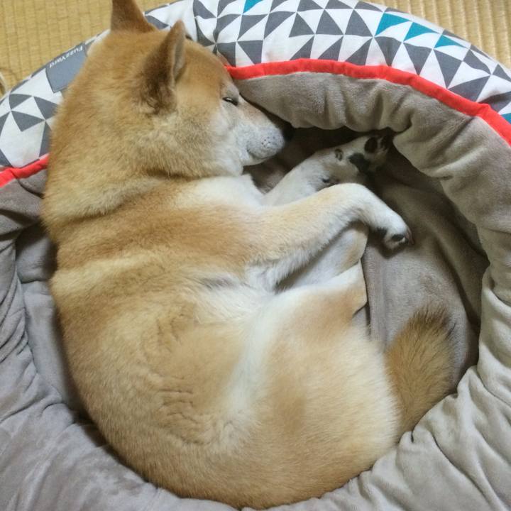 Fc334ab3 a86a 41d2 99a0 d8e4911ddf26 1763964498212