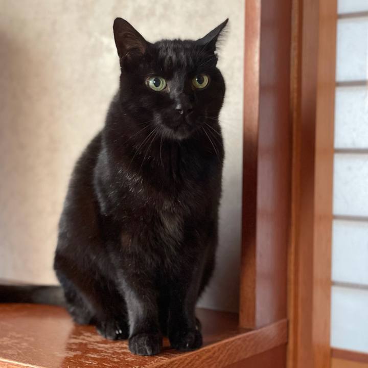 Fc33aa8a 440e 47f1 8adf 465fa5db7a7c 1613954189197