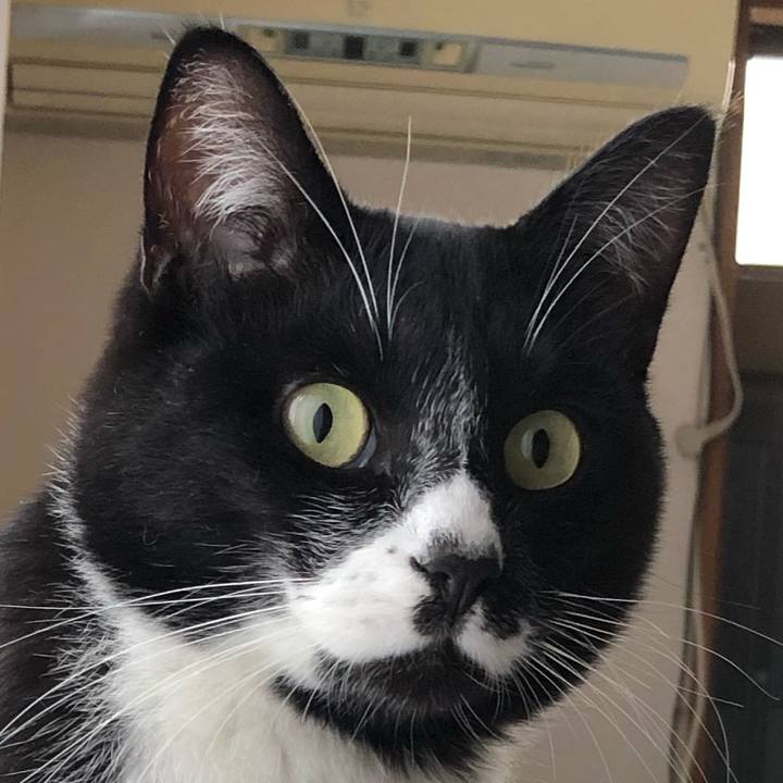 Fc33b082 57d2 4e92 938f f368e8c777e6 1575703437492