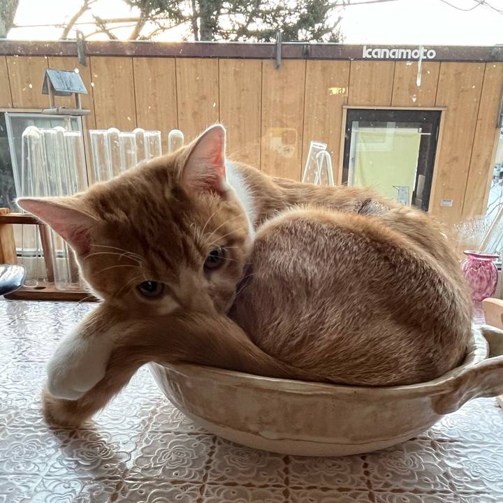 Fc33b0a1 decf 485d 8ccb 1f30c0814ec9 1670969136484