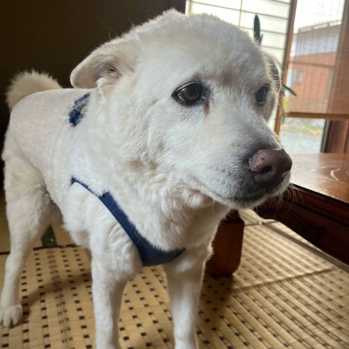 Fc33bb61 3261 4678 a369 53021cb9d217 1767053461819