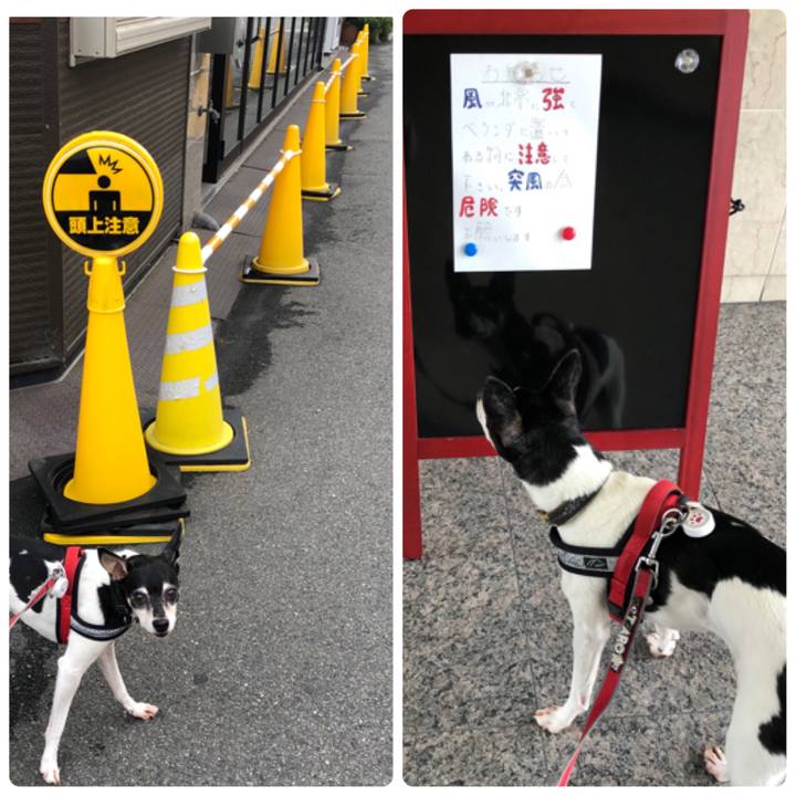 Fc33c00a 1d90 4376 ad1e b9747e3b1c77 1560559156316