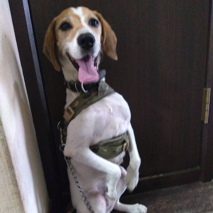 Fc340b55 fe76 4d03 be30 28e421a68372 1692681415349