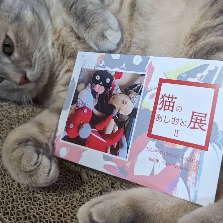 Fc341acc 98c9 4af5 bbd6 2868db43974a 1693541045639