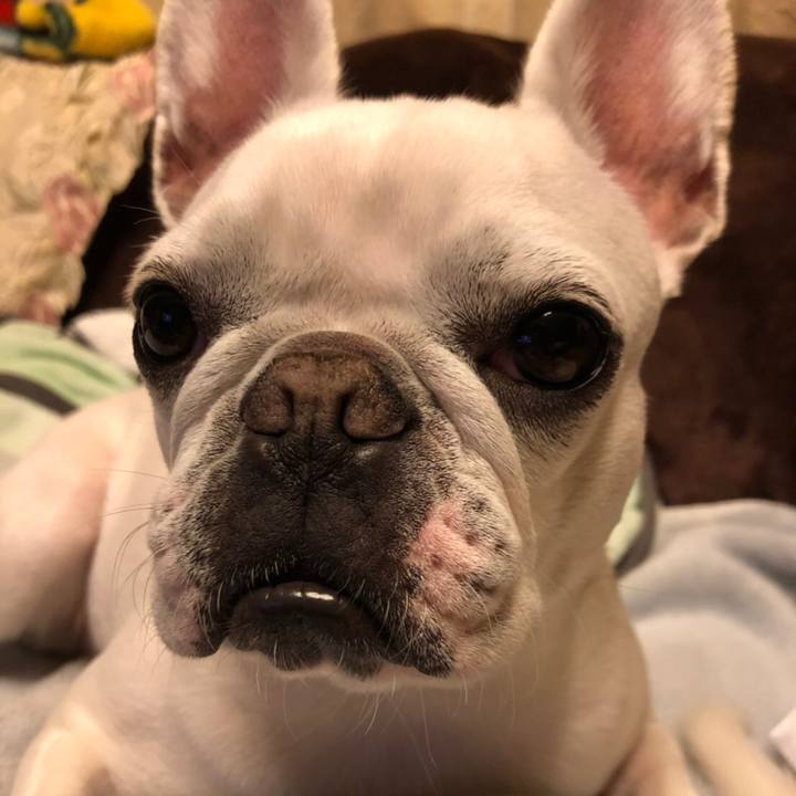 Fc34aa04 ab6e 45d0 92cb 7d0297cefd2a 1544319310324