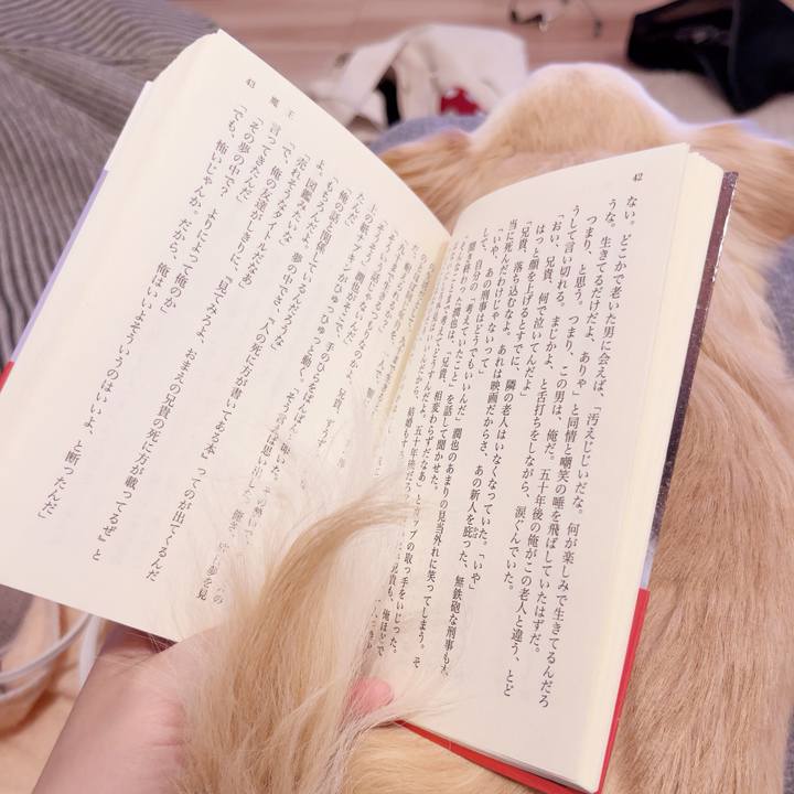 Fc34cae8 5f8e 4735 981e 04e631473aa5 1740302258948