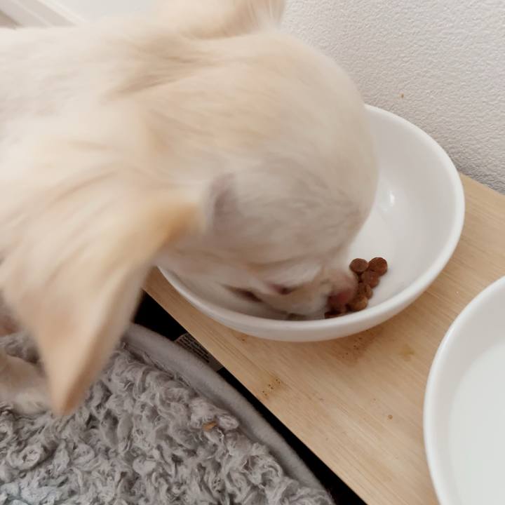 Fc34ebe8 ce95 4cb1 8184 288a9e828012 1685101064767