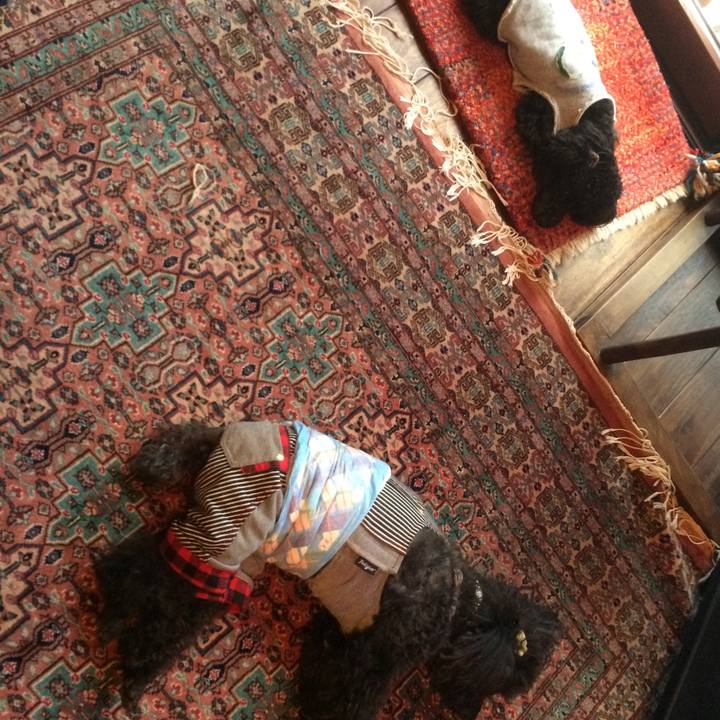 Fc34fc91 b7bc 424a 953e 1e399b8d6243 1521523978551