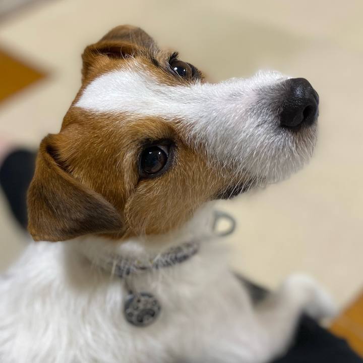 Fc3512f5 1c60 4300 9a2f 6c3e4f3ffac8 1727904007934