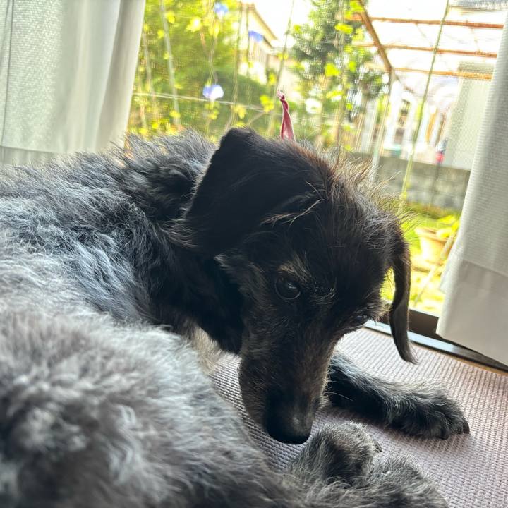 Fc35239b adea 43e5 9645 200f157754ca 1760655962722