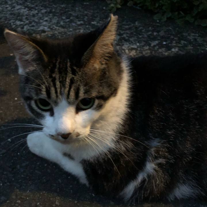 Fc353ffd 67ba 4e46 8999 a7b0059ba4fe 1561991659705