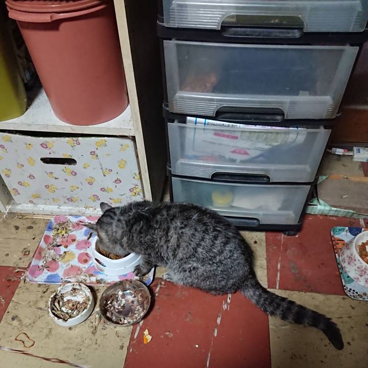 Fc356223 6700 49d0 8eb9 a432cd26e7c0 1577749591121