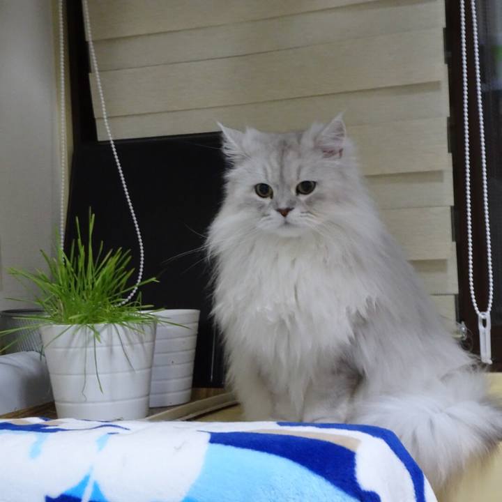 Fc359f5c 6a6e 4904 99cd 52156d5993bb 1529067250289