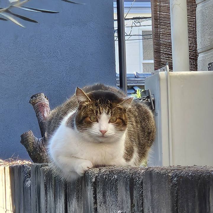 Fc35a5b1 551d 475b 8774 cb9eb44114bf 1734173577348